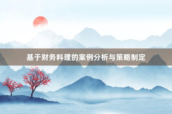 基于财务料理的案例分析与策略制定
