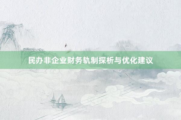 民办非企业财务轨制探析与优化建议