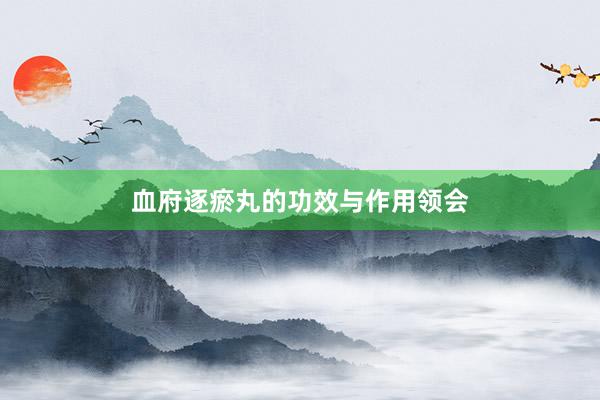 血府逐瘀丸的功效与作用领会