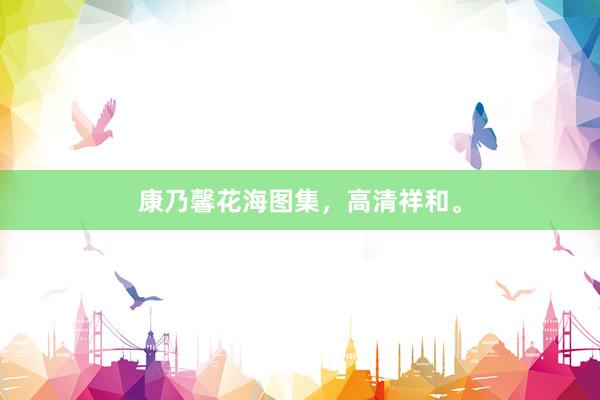 康乃馨花海图集，高清祥和。